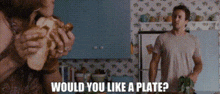 the back up plan stan plate would you like a plate food