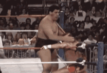 slap beat up wrestling andre the giant macho man