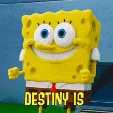 a poster of spongebob says destiny is