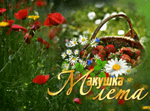 a basket full of strawberries and daisies is surrounded by flowers in a field with the words makushka elena written in gold
