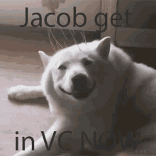 Vc Discord GIF - Vc Discord Jacob GIFs