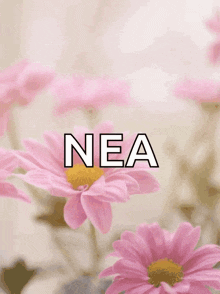 a happy mother 's day card with pink flowers