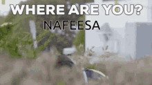 Nafeesa Naseefa GIF