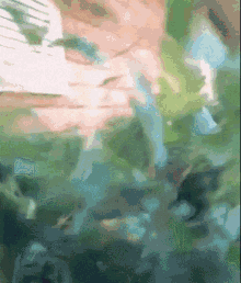 Woman Comes Out Of Bush Repeatedly Absurdo GIF
