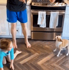 Dog The Pet Collective GIF - Dog The Pet Collective Pet GIFs