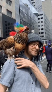 Chicken Pet Chicken GIF - Chicken Pet Chicken GIFs