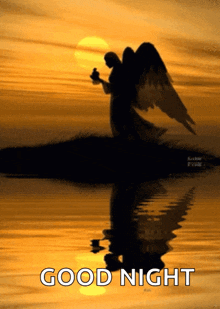 Angel Of Night Wings GIF - Angel Of Night Wings Moon GIFs