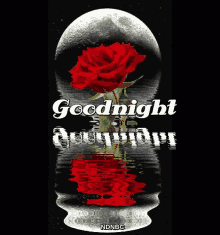 Goodnight Full Moon GIF