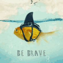 Be Brave Fish GIF - Be Brave Fish Goldfish GIFs