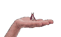 a hand is holding a small cartoon figure with horns