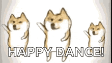 Dance Cute GIF - Dance Cute Dog GIFs