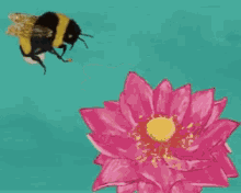 Bee Buzz Flower GIF - Bee Buzz Flower Pollen GIFs