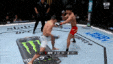 two fighters are fighting in a ufc ring with bud light on the floor