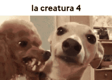 La Creatura4 La GIF - La Creatura4 La Creatura La GIFs