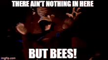 There Aint Nothing In Here But Bees Brer Bear GIF