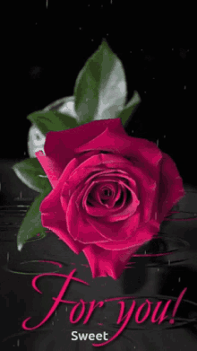 R Ed Sweet Rose GIF