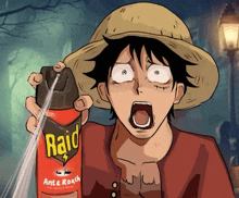 monkey d luffy is holding a raid ant & roach spray