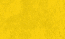 a yellow background with a line drawing of three flowers