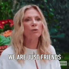 We Are Just Friends Housewives Of New York GIF - We Are Just Friends Housewives Of New York We Are Not More Than Friends GIFs