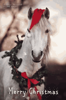 Horse Merry Christmas GIF - Horse Merry Christmas Happy Holidays GIFs