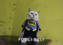 Catman Batman GIF - Catman Batman Marvel GIFs