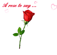 A Rose To Say I Love You Red Rose Sticker - A Rose To Say I Love You Red Rose Rose For You Stickers