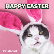 Happy Easter Easter Kitty GIF - Happy Easter Easter Kitty Easter Cat GIFs