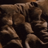 Alvin And The Chipmunks Sleeping GIF - Alvin And The Chipmunks Sleeping Theodore GIFs
