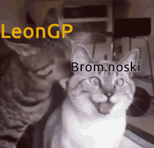 Cat Leon Game Project GIF