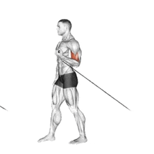 a man is doing a exercise with a rope .