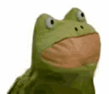 Frog Meme GIF