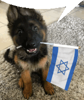 Israel Israel Flag Sticker