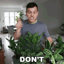 Dont Fuck It Up Mitchell Moffit GIF - Dont Fuck It Up Mitchell Moffit Asapscience GIFs