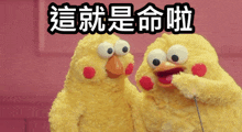 two stuffed chickens are standing next to each other with chinese writing on the bottom