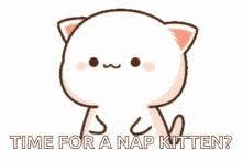 Nap Time Grumpy GIF - Nap Time Grumpy Cat GIFs