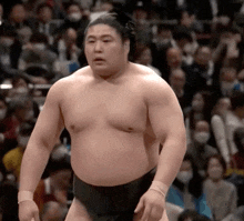 Wakamotoharu 若元春 GIF - Wakamotoharu 若元春 Sumo Wrestler GIFs