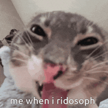 a close up of a cat 's face with the words me when i ridosoph written below it
