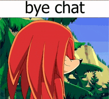 Knuckles The Echidna Bye Chat GIF - Knuckles The Echidna Bye Chat Sonic X GIFs