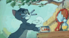 Tom Y Jerry Tom And Jerry GIF
