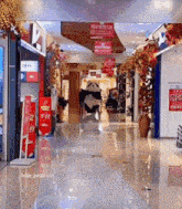 Panda Shopping Centre GIF - Panda Shopping Centre Running GIFs