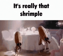 Its Shrimple Komrade Katt GIF