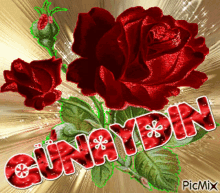 Gunaydin Roses GIF - Gunaydin Roses Red Rose GIFs