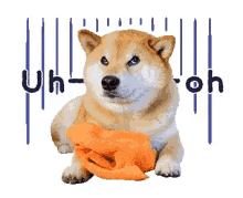 a dog with an orange towel around its neck and the words uh oh behind it