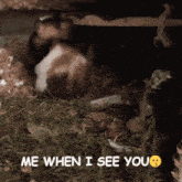 a picture of a hamster with the words me when i see you