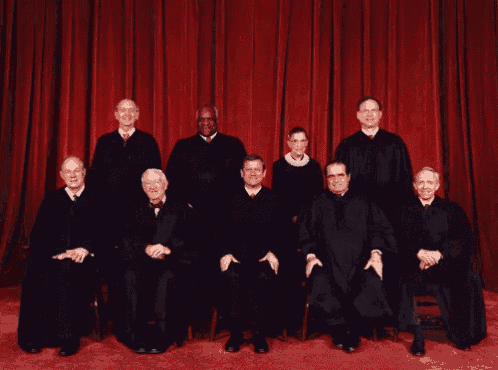 Supreme Court GIFs | Tenor