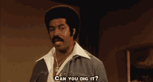 Black Dynamite Can You Dig It GIF