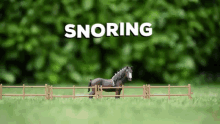 Sleep Horse GIF - Sleep Horse Prince GIFs