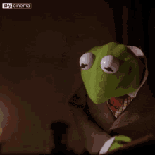 Kermit Book GIF - Kermit Book GIFs
