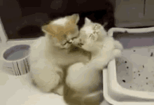 Supporting A Friend In Need GIF - Kittens Cute Aww GIFs