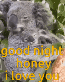Good Night Love GIF - Good Night Love Koala GIFs